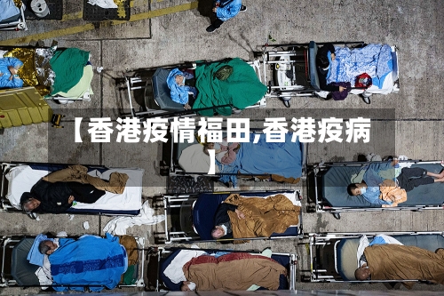 【香港疫情福田,香港疫病】-第2张图片