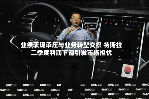 业绩表现承压与业务转型交织 特斯拉二季度利润下滑引发市场担忧-第2张图片