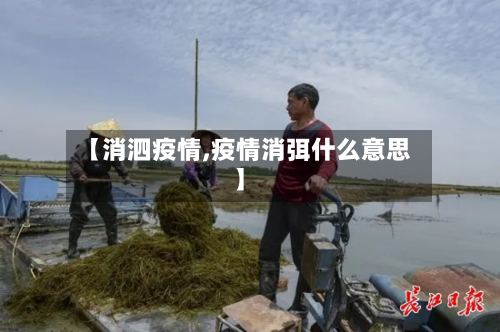 【消泗疫情,疫情消弭什么意思】