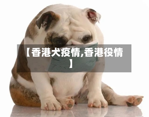 【香港犬疫情,香港役情】