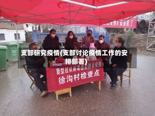 支部研究疫情(支部讨论疫情工作的安排部署)