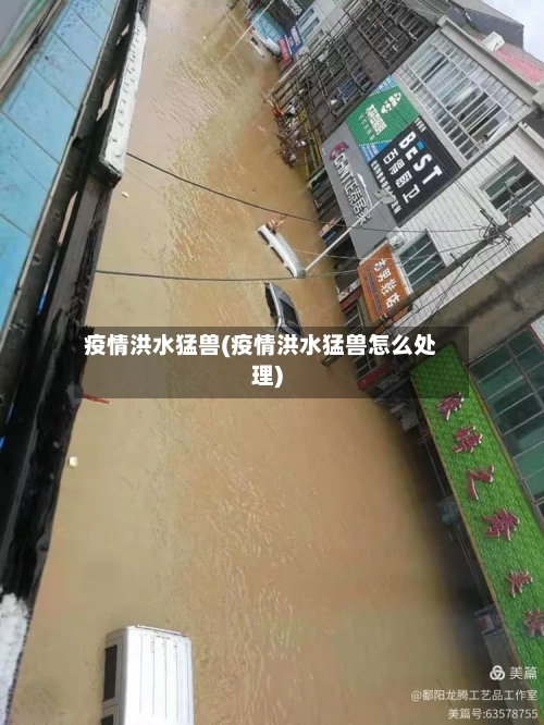 疫情洪水猛兽(疫情洪水猛兽怎么处理)-第3张图片