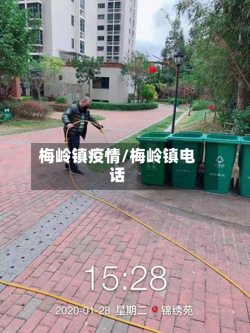 梅岭镇疫情/梅岭镇电话