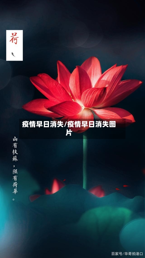 疫情早日消失/疫情早日消失图片-第2张图片