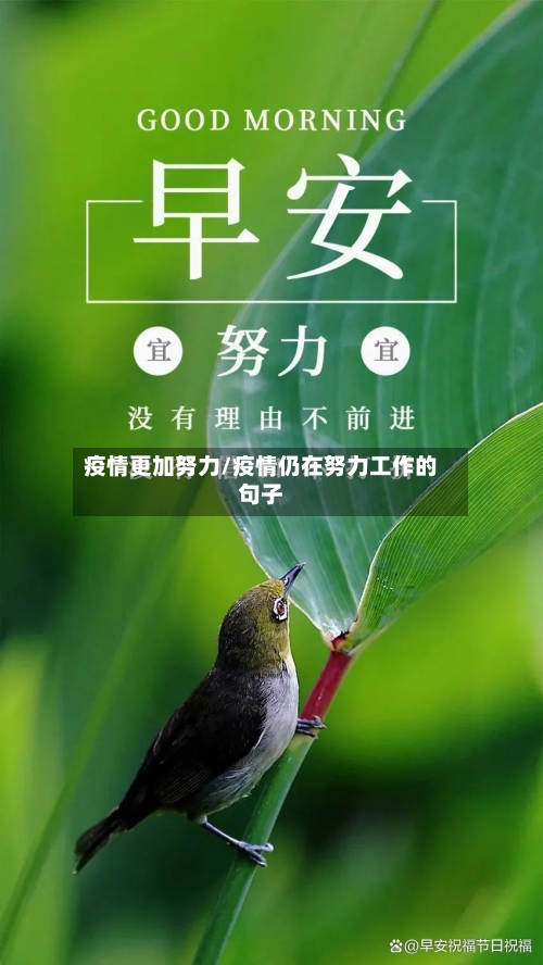 疫情更加努力/疫情仍在努力工作的句子-第2张图片