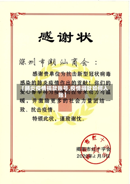 【肺炎疫情捐款账号,疫情捐款如何入账】-第2张图片