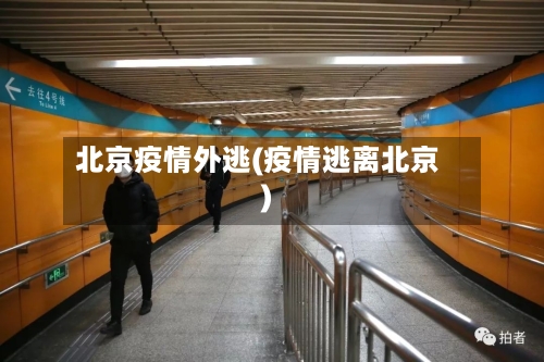 北京疫情外逃(疫情逃离北京)-第3张图片