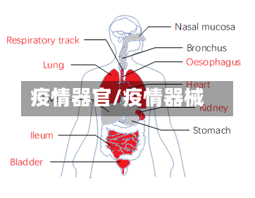 疫情器官/疫情器械