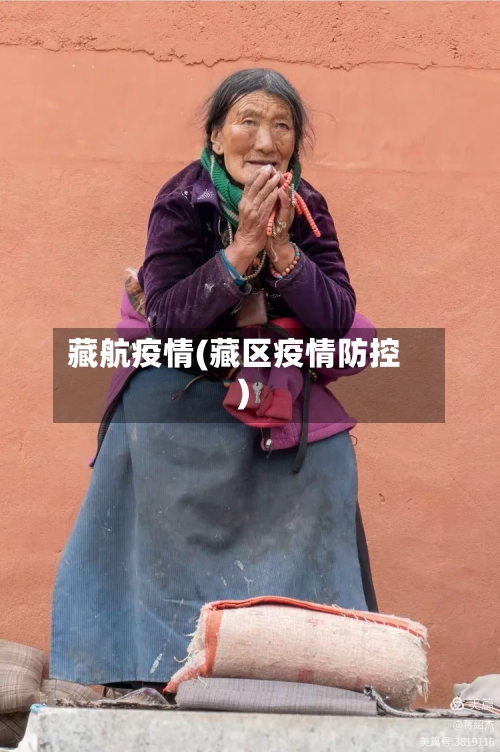藏航疫情(藏区疫情防控)-第2张图片