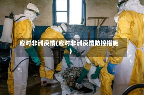 应对非洲疫情(应对非洲疫情防控措施)-第3张图片