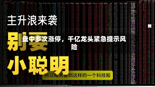 盘中多次涨停，千亿龙头紧急提示风险-第2张图片