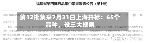 第12批集采7月31日上海开标：65个品种，设三大规则-第2张图片