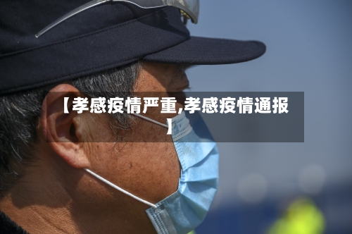 【孝感疫情严重,孝感疫情通报】-第2张图片