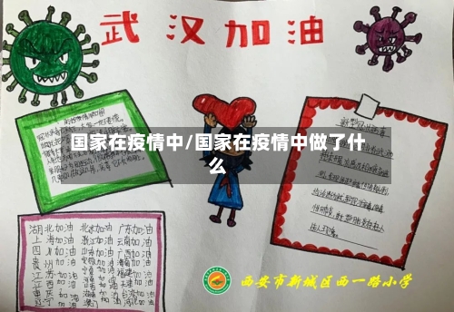 国家在疫情中/国家在疫情中做了什么