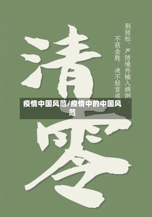 疫情中国风范/疫情中的中国风范-第2张图片