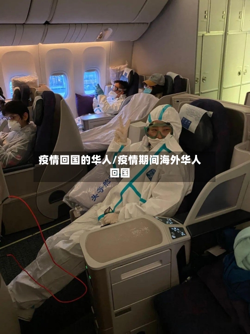 疫情回国的华人/疫情期间海外华人回国