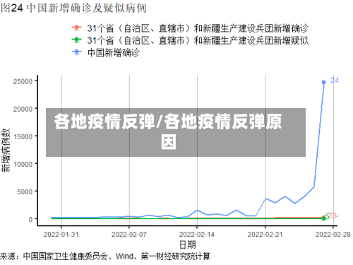 各地疫情反弹/各地疫情反弹原因