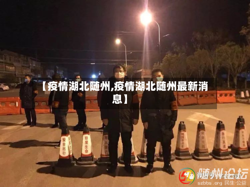 【疫情湖北随州,疫情湖北随州最新消息】-第3张图片
