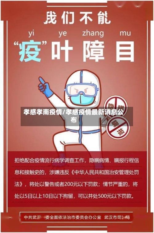 孝感孝南疫情/孝感疫情最新消息公布-第2张图片