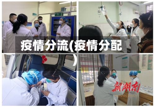疫情分流(疫情分配)