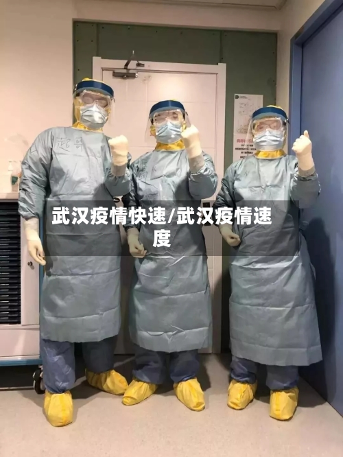 武汉疫情快速/武汉疫情速度-第3张图片