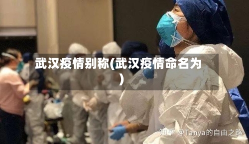 武汉疫情别称(武汉疫情命名为)-第2张图片