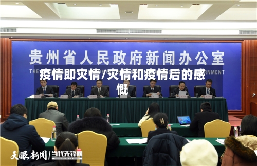 疫情即灾情/灾情和疫情后的感慨
