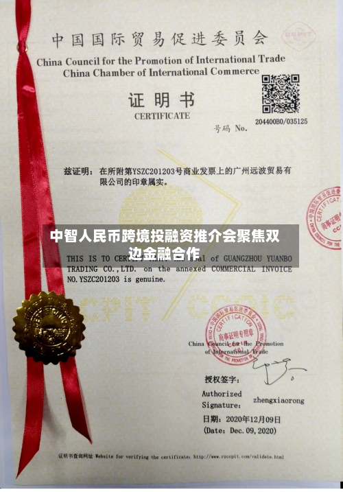 中智人民币跨境投融资推介会聚焦双边金融合作