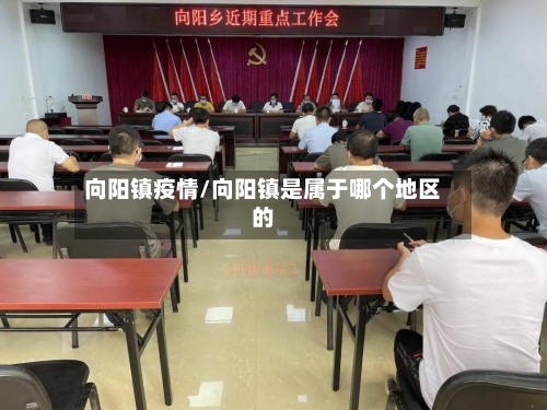 向阳镇疫情/向阳镇是属于哪个地区的-第2张图片