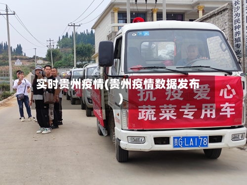 实时贵州疫情(贵州疫情数据发布)-第2张图片