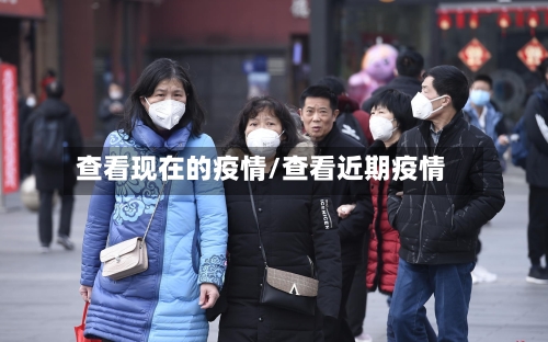 查看现在的疫情/查看近期疫情-第3张图片