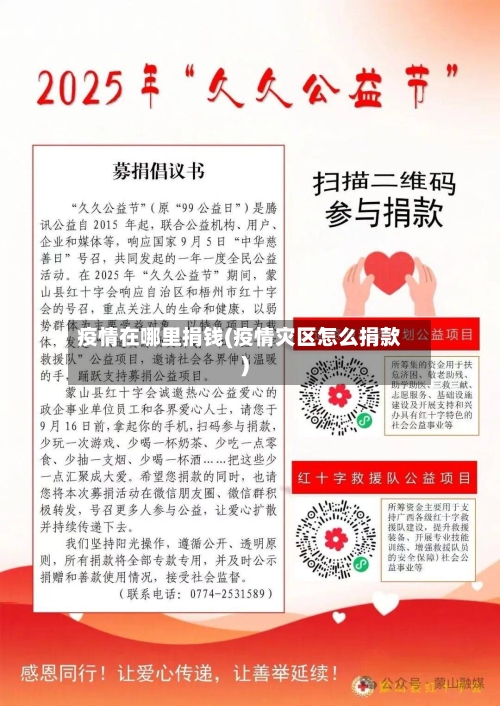 疫情在哪里捐钱(疫情灾区怎么捐款)-第3张图片