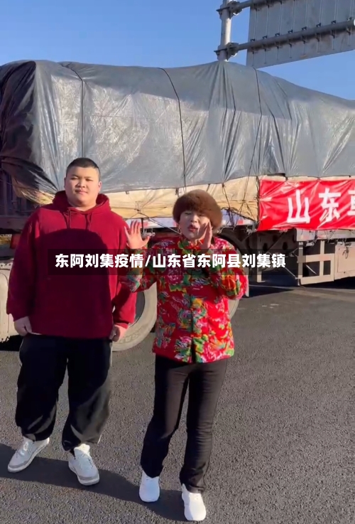 东阿刘集疫情/山东省东阿县刘集镇