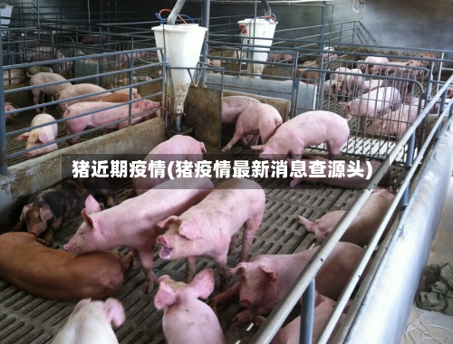 猪近期疫情(猪疫情最新消息查源头)