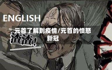 元首了解到疫情/元首的愤怒新冠