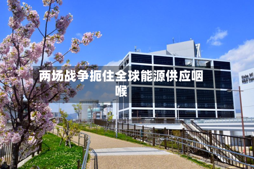 两场战争扼住全球能源供应咽喉-第2张图片