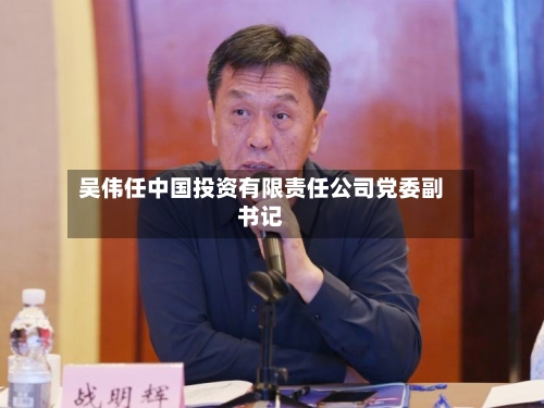 吴伟任中国投资有限责任公司党委副书记