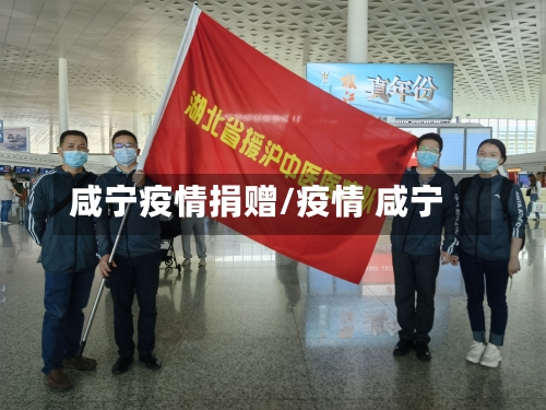 咸宁疫情捐赠/疫情 咸宁-第2张图片