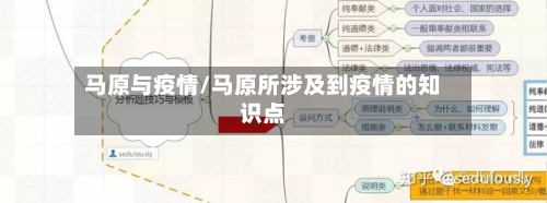 马原与疫情/马原所涉及到疫情的知识点