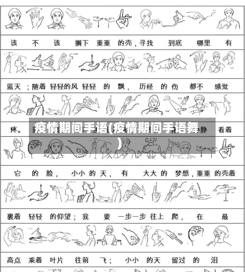 疫情期间手语(疫情期间手语舞)-第2张图片