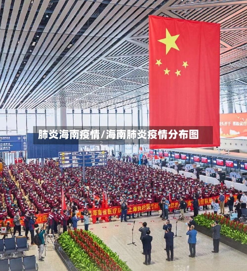 肺炎海南疫情/海南肺炎疫情分布图-第2张图片