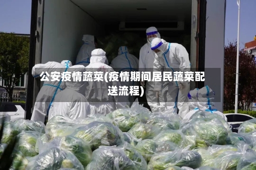 公安疫情蔬菜(疫情期间居民蔬菜配送流程)-第2张图片