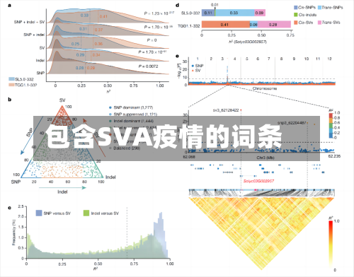 包含SVA疫情的词条