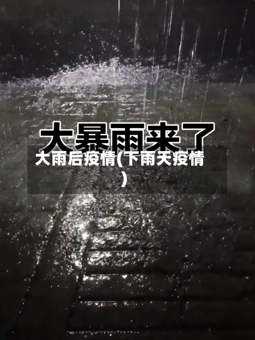大雨后疫情(下雨天疫情)-第2张图片