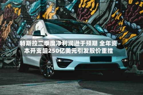 特斯拉二季度净利润逊于预期 全年资本开支超250亿美元引发股价重挫