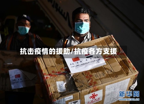 抗击疫情的援助/抗疫各方支援