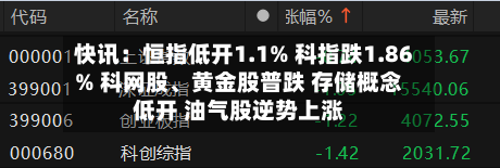 快讯：恒指低开1.1% 科指跌1.86% 科网股、黄金股普跌 存储概念低开 油气股逆势上涨-第2张图片
