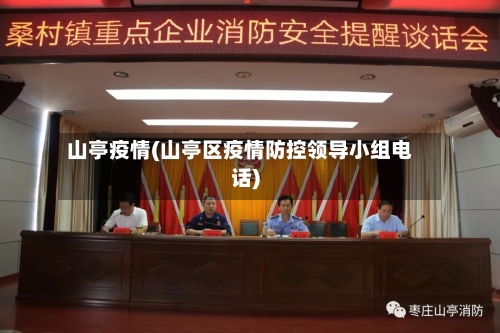 山亭疫情(山亭区疫情防控领导小组电话)-第3张图片