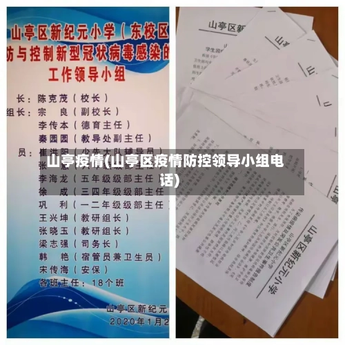 山亭疫情(山亭区疫情防控领导小组电话)
