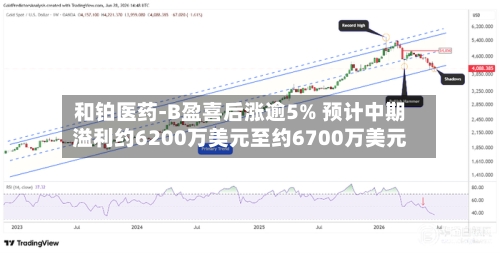 和铂医药-B盈喜后涨逾5% 预计中期溢利约6200万美元至约6700万美元-第3张图片